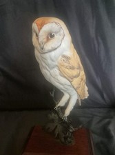 Porcelain Barn Owl On Bronze Branch By David Fryer Ex Royal Worcester