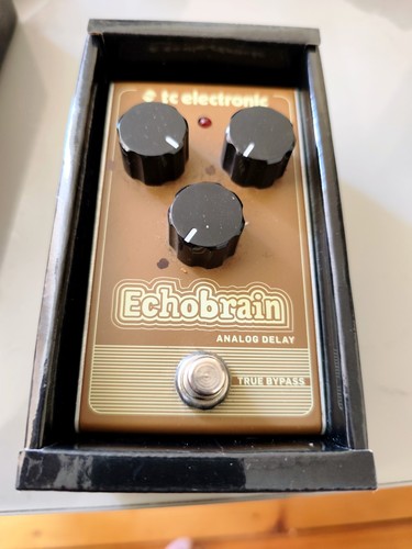 Electronic echobrain analog - tc,
