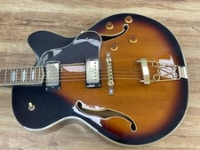 Rally Semi Acoustic Jazz Guitar g049100348023 llh