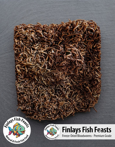 Premium freeze dried - dried, loose