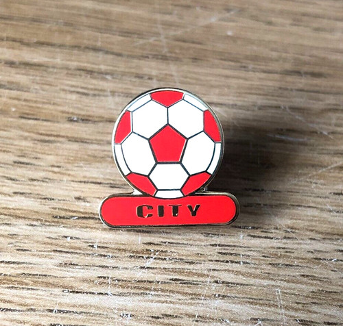 Bristol city football - bristol,
