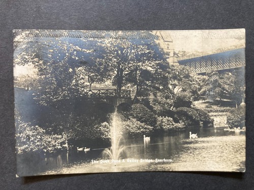 Duck pond valley bridge - pond,