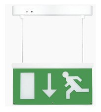 LED Fern Howard Exodus