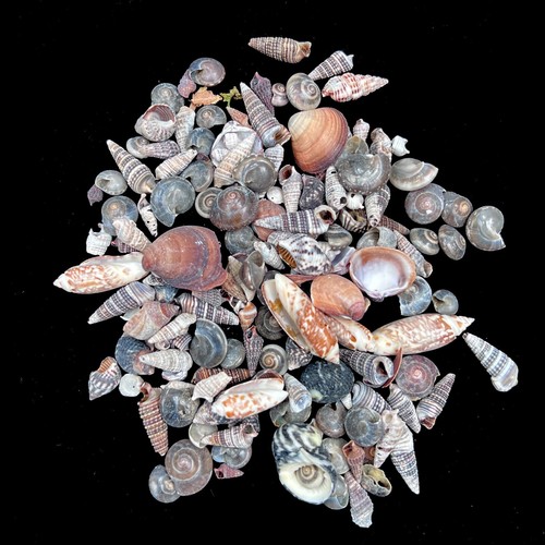 Grey and browns mixed mini - grey,