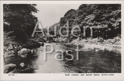 River conway and - and, beaver