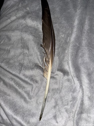 Premium goose quill ballpoint - premium,