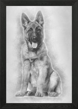 Belgian Shepherd dog 4 mon