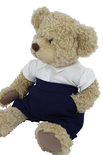 School shorts and top - school, dolls