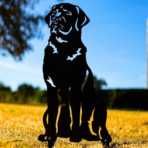 Labrador retriever dog - retriever,