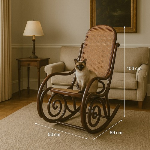 Antique rocking chair thonet - rocking,
