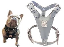 Grey Leather Dog Harness with French Bulldog Head for Fully Grown Frenchies