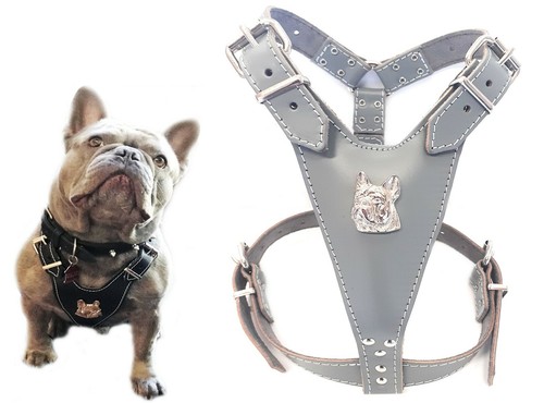 Grey leather dog harness with - dog,