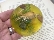 Vintage Lucite / Resin seascape crab display paperweight - retro collectable