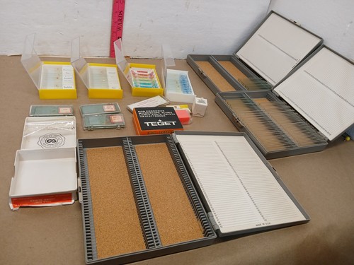 Vintage microscope slide lot - slide,