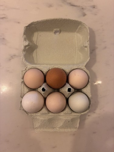 Chicken eggs - 6,