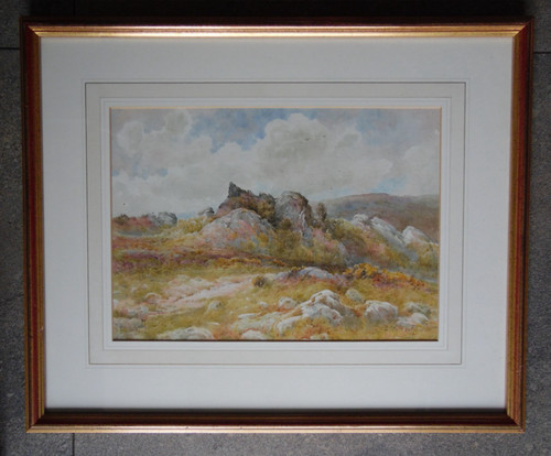 Devon dartmoor landscape c - devon,,