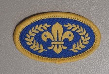 UK Scouting DISCONTINUED Scout