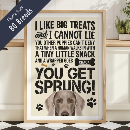 Funny dog treats lyric - treats, quote