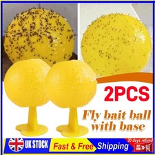 2X Fruit Fly Balls Fly Ball