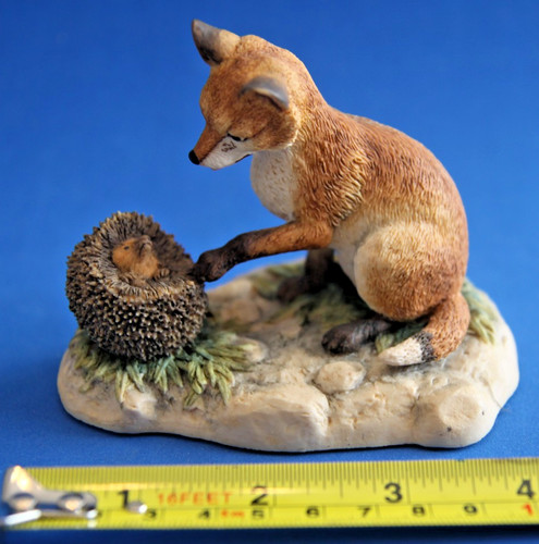 Fox cub meets hedgehog - cub,