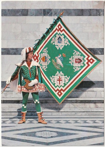 Siena goose major - major,