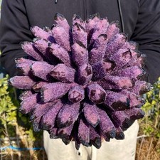 9.89LB New find purple Phantom