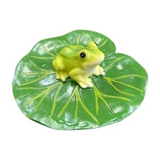 Floating Water Lily Leaf with