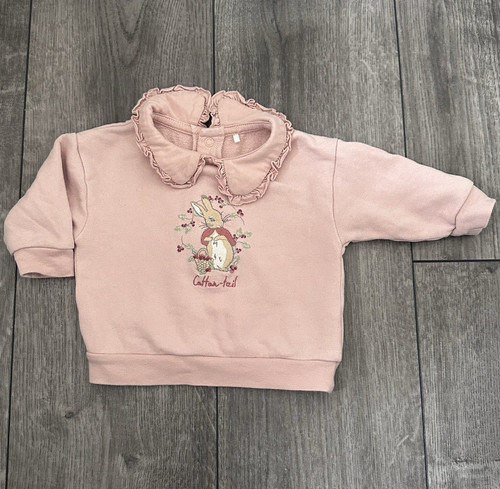 Peter rabbit pink - pink, collared
