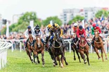 HORSE RACING SYSTEM PROFIT