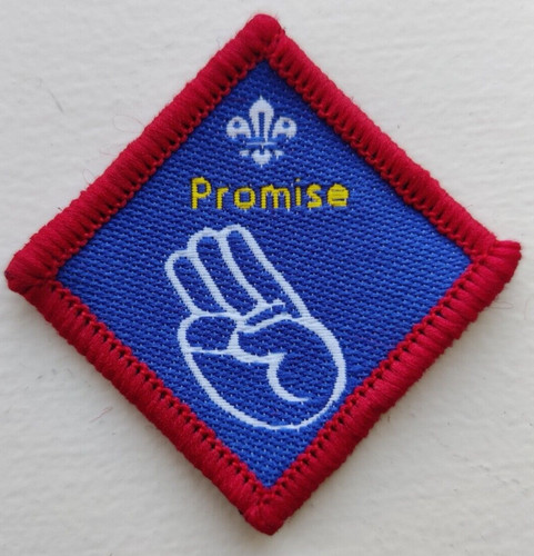 Scout association scouts - scout,