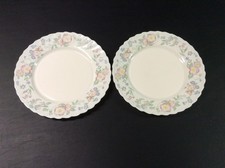 Set of 2 Arcopal Champetre