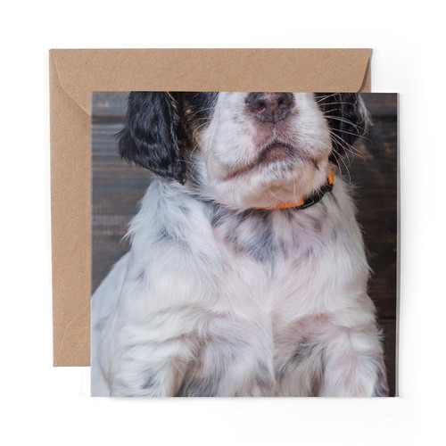 Blank greeting card - blank,