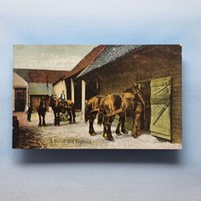 York PM Postcard 1911 Yorkshire Heavy Horse In Harness Working Stables