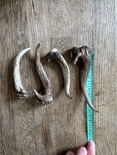 Venison Antler Dog Chew 100%
