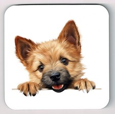 Peeking Peeping Norwich