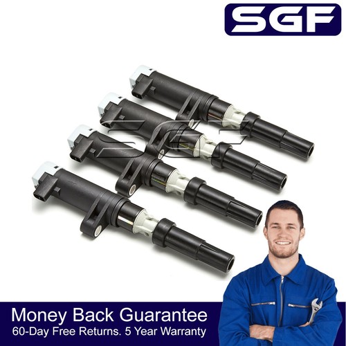 Sgf for renault twingo 133 - sgf,