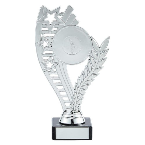 Multisport trophy silver - trophy,