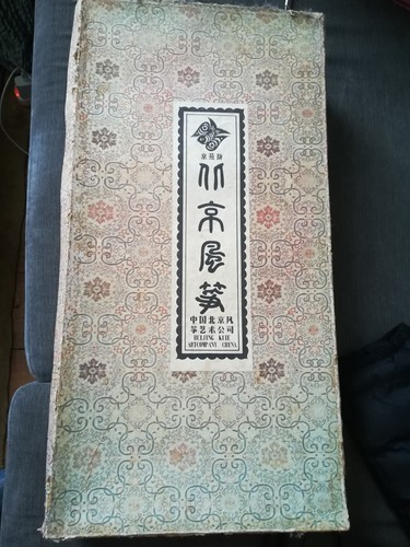 Vintage beijing kite - x,