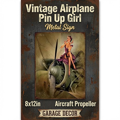 Vintage airplane pin - vintage,