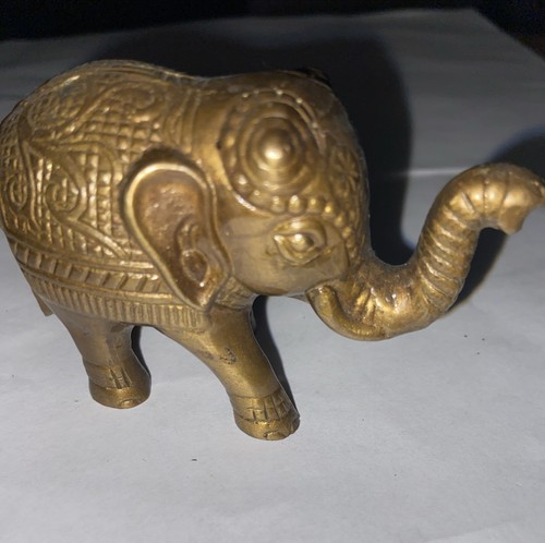 Baby indian elephant - baby,