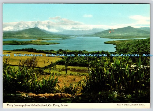 L373062 ireland kerry - kerry,