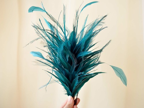 Twisted goose hackle - twisted, feather
