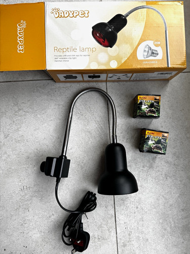 Dadypet reptile lamp - reptile,