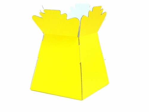 Bouquet flower boxes - bouquet,