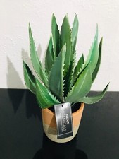 BNIB Next Green Artificial Cactus In Terracotta Pot Home/Decor &Gift