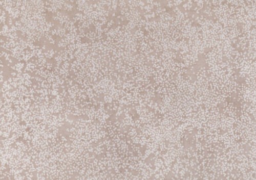 Nyiri w424 romo - w424/03, by