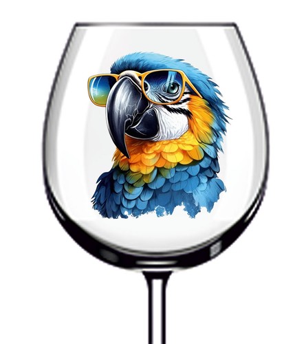 12x blue gold macaw - macaw, parrot