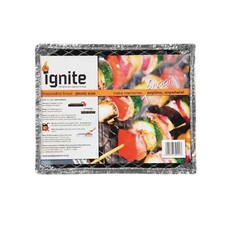 Ignite Small Disposable BBQ