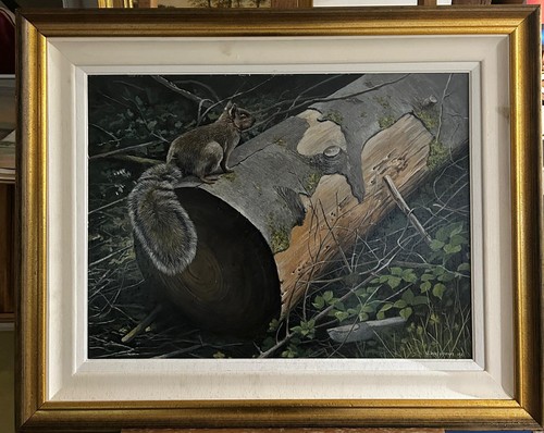 Wildlife photo realism - wildlife,