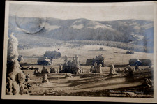 59743 AK Silesia Giant